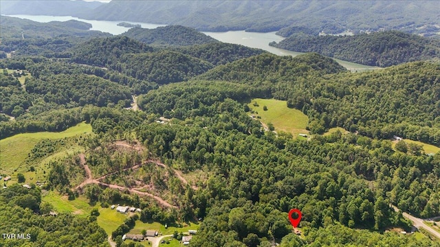 591 Whaley Town Rd, Butler, TN 37640 - photo 35
