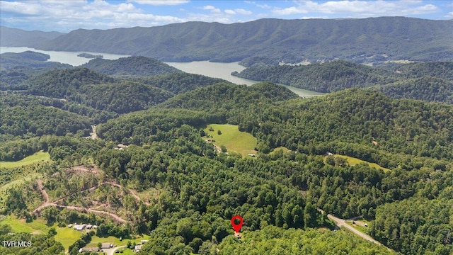 591 Whaley Town Rd, Butler, TN 37640 - photo 36
