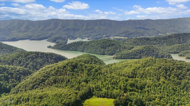 591 Whaley Town Rd, Butler, TN 37640 - photo 38