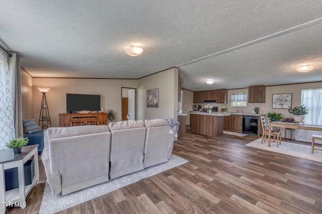 245 Ebenezer Loop, Chuckey, TN 37641 - photo 6