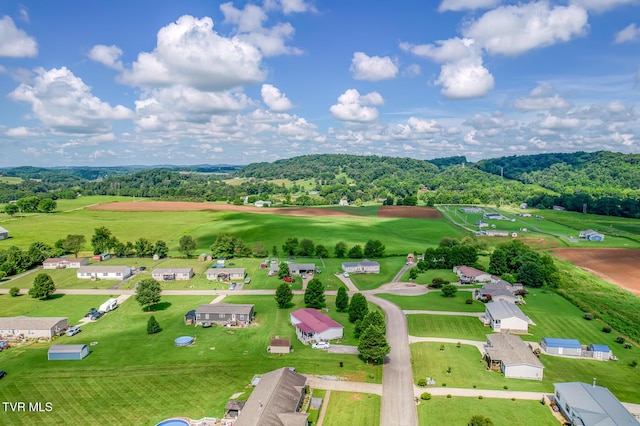 245 Ebenezer Loop, Chuckey, TN 37641 - photo 32