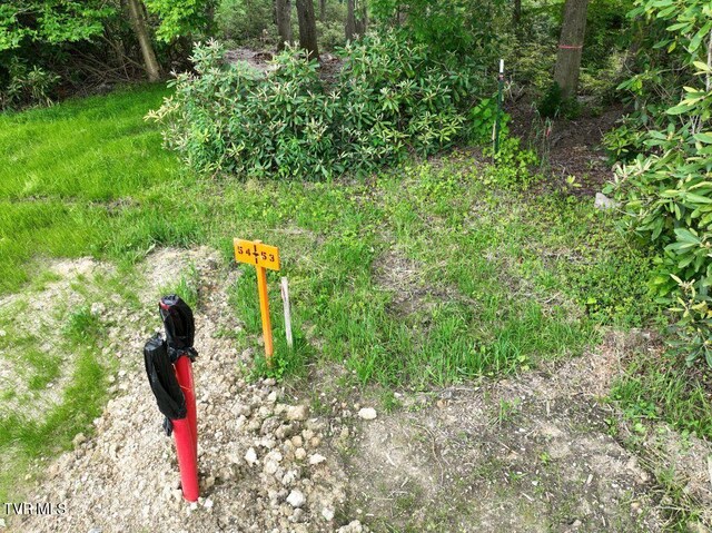 1768 Ripshin Mountain Rd, Roan Mountain, TN 37687 - photo 3