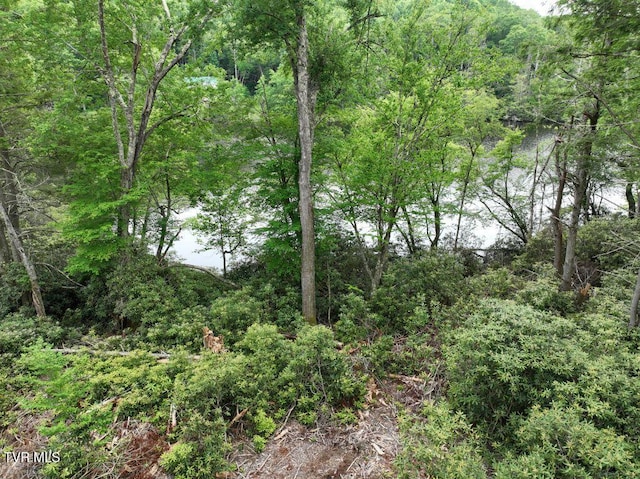 1768 Ripshin Mountain Rd, Roan Mountain, TN 37687 - photo 11