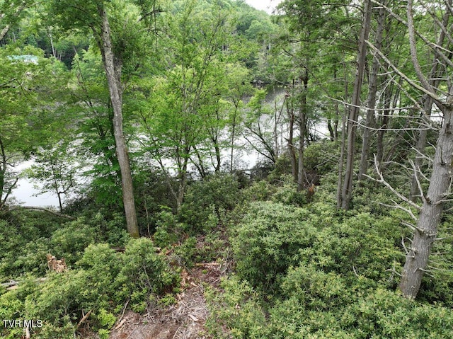 1768 Ripshin Mountain Rd, Roan Mountain, TN 37687 - photo 12
