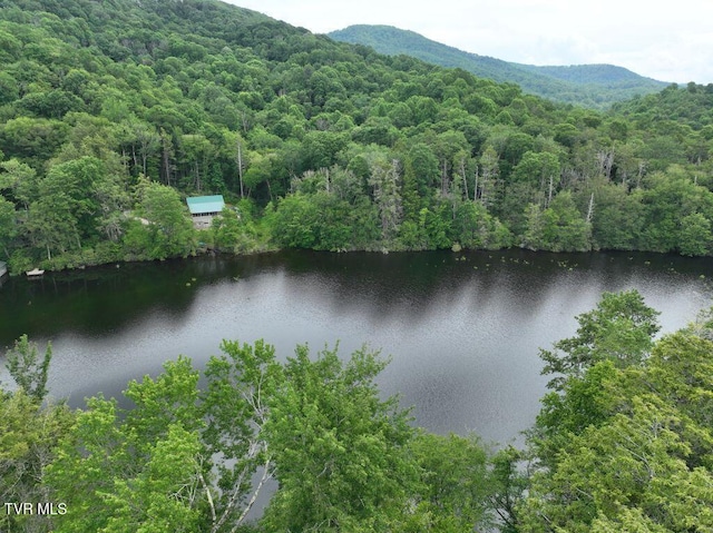 1768 Ripshin Mountain Rd, Roan Mountain, TN 37687 - photo 13