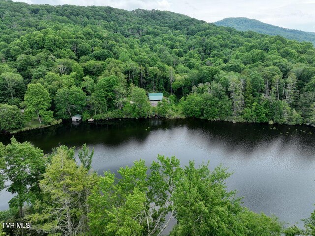 1768 Ripshin Mountain Rd, Roan Mountain, TN 37687 - photo 14