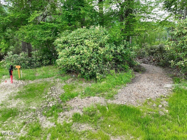 1768 Ripshin Mountain Rd, Roan Mountain, TN 37687 - photo 18