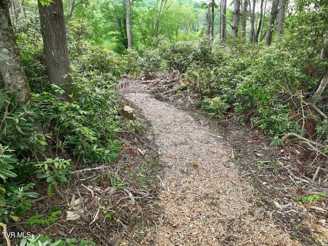 1768 Ripshin Mountain Rd, Roan Mountain, TN 37687 - photo 20