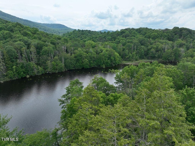 1768 Ripshin Mountain Rd, Roan Mountain, TN 37687 - photo 24