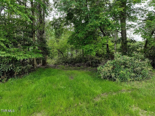 1768 Ripshin Mountain Rd, Roan Mountain, TN 37687 - photo 25