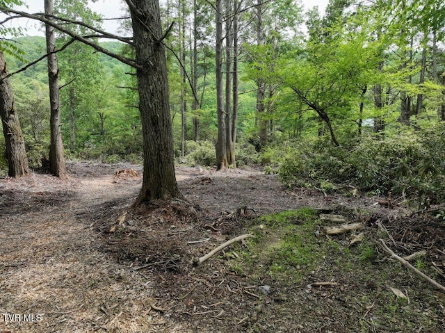 1768 Ripshin Mountain Rd, Roan Mountain, TN 37687 - photo 26