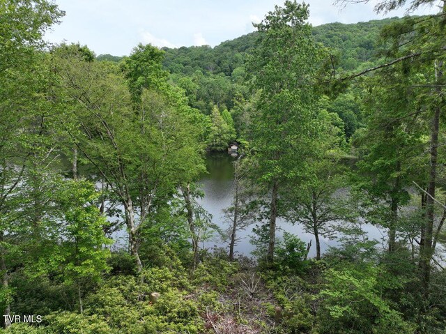 1768 Ripshin Mountain Rd, Roan Mountain, TN 37687 - photo 27