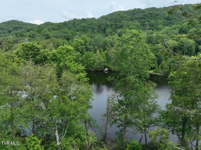 1768 Ripshin Mountain Rd, Roan Mountain, TN 37687 - photo 28