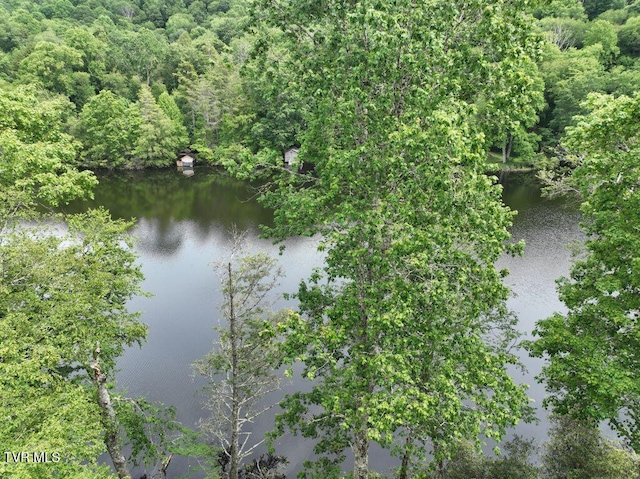 1768 Ripshin Mountain Rd, Roan Mountain, TN 37687 - photo 29
