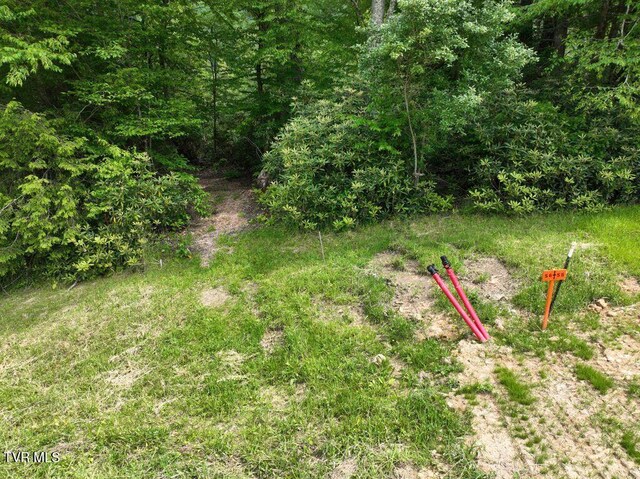 1768 Ripshin Mountain Rd, Roan Mountain, TN 37687 - photo 30