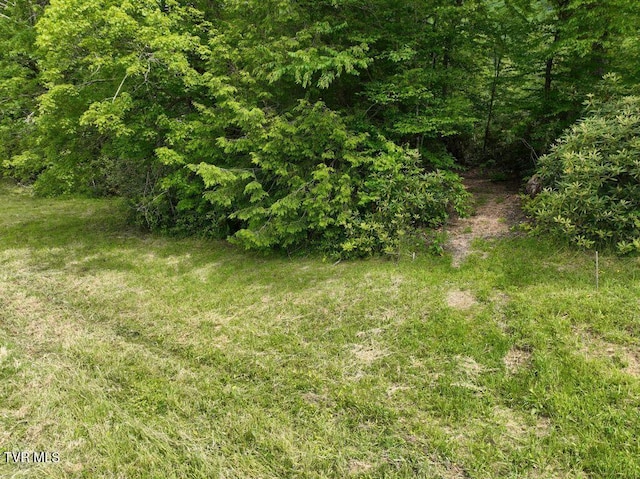 1768 Ripshin Mountain Rd, Roan Mountain, TN 37687 - photo 31