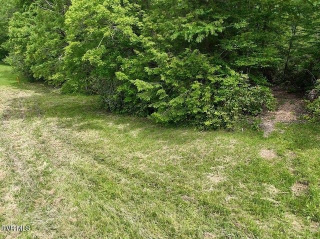1768 Ripshin Mountain Rd, Roan Mountain, TN 37687 - photo 32