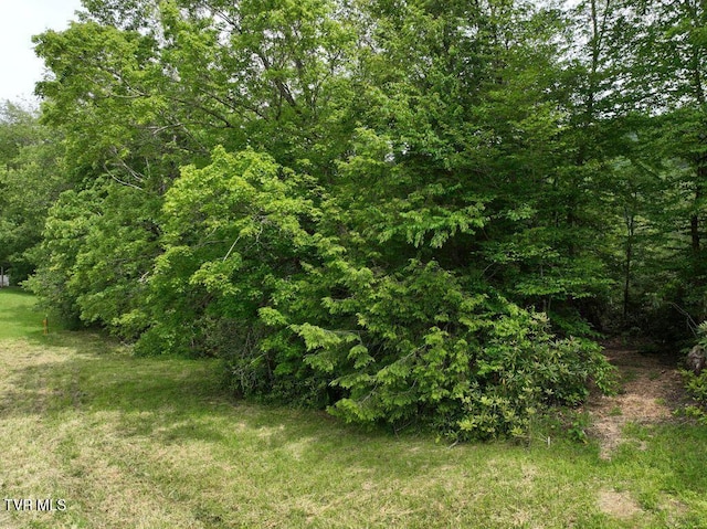 1768 Ripshin Mountain Rd, Roan Mountain, TN 37687 - photo 33