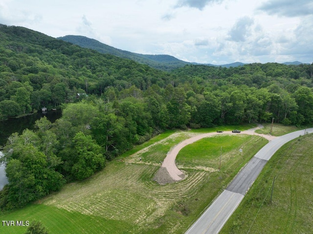 1768 Ripshin Mountain Rd, Roan Mountain, TN 37687 - photo 35