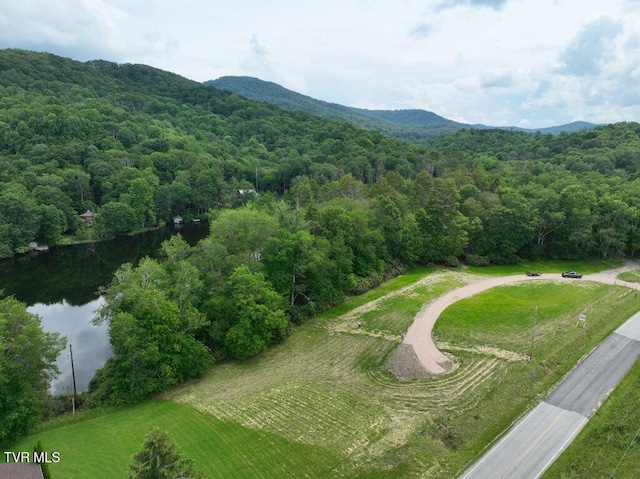 1768 Ripshin Mountain Rd, Roan Mountain, TN 37687 - photo 36