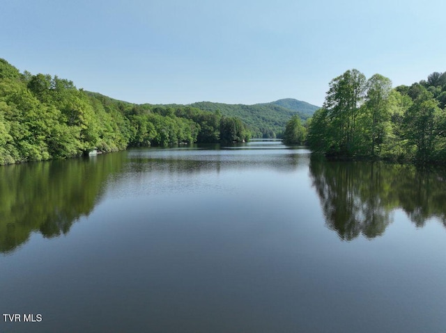 1768 Ripshin Mountain Rd, Roan Mountain, TN 37687 - photo 1