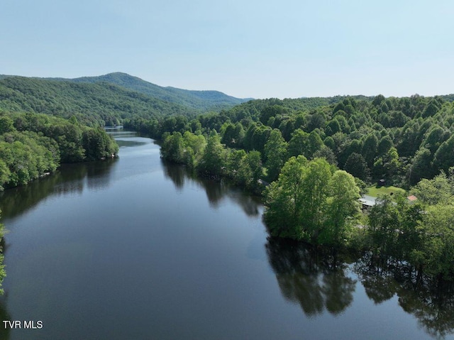 1768 Ripshin Mountain Rd, Roan Mountain, TN 37687 - photo 37