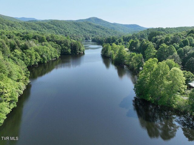 1768 Ripshin Mountain Rd, Roan Mountain, TN 37687 - photo 40