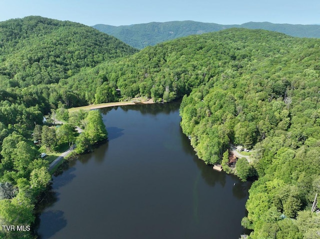 1768 Ripshin Mountain Rd, Roan Mountain, TN 37687 - photo 41