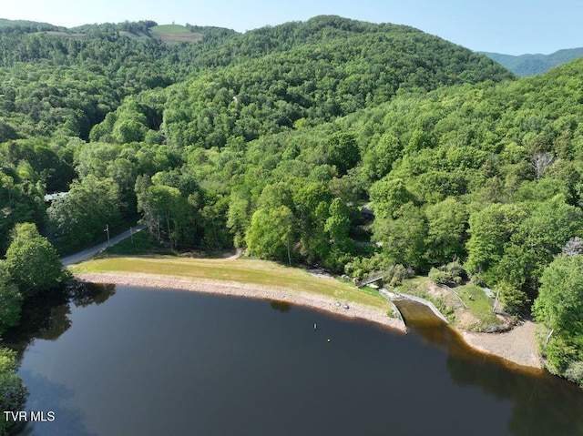 1768 Ripshin Mountain Rd, Roan Mountain, TN 37687 - photo 44