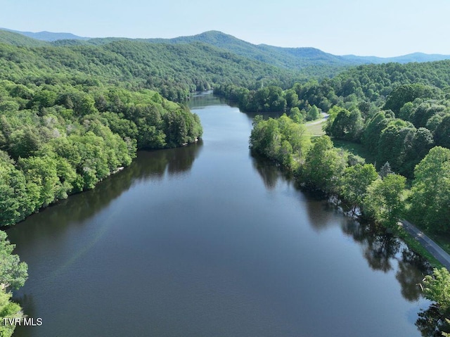 1768 Ripshin Mountain Rd, Roan Mountain, TN 37687 - photo 45