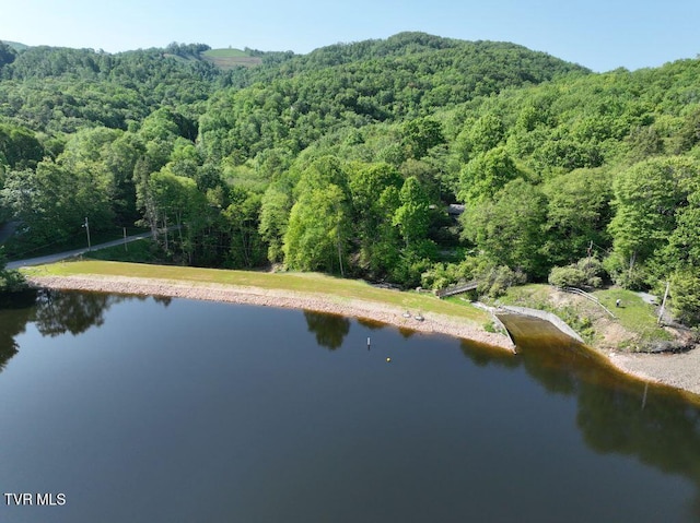 1768 Ripshin Mountain Rd, Roan Mountain, TN 37687 - photo 46