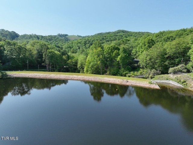 1768 Ripshin Mountain Rd, Roan Mountain, TN 37687 - photo 47