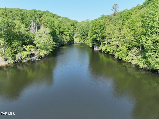 1768 Ripshin Mountain Rd, Roan Mountain, TN 37687 - photo 48