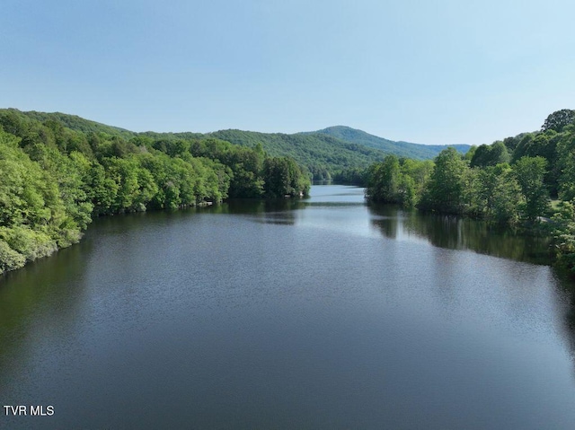 1768 Ripshin Mountain Rd, Roan Mountain, TN 37687 - photo 51
