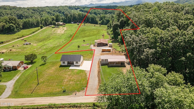 647 Seaton Rd, Afton, TN 37616 - photo 1