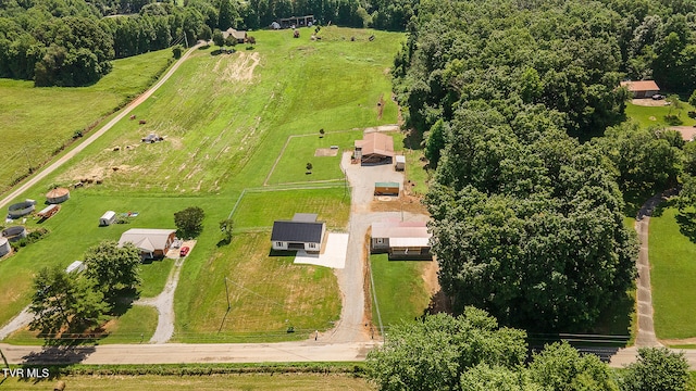 647 Seaton Rd, Afton, TN 37616 - photo 4
