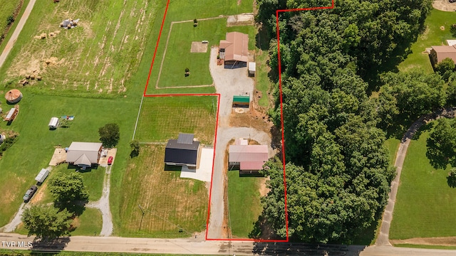 647 Seaton Rd, Afton, TN 37616 - photo 5