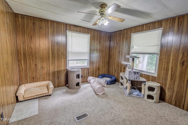 647 Seaton Rd, Afton, TN 37616 - photo 50