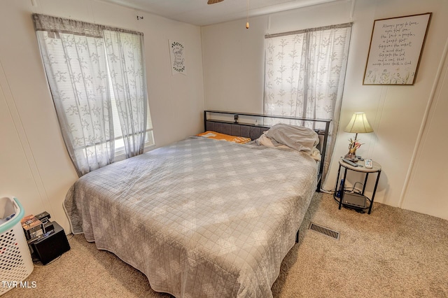 647 Seaton Rd, Afton, TN 37616 - photo 48