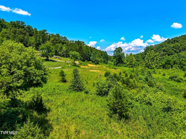 443 Butcher Valley Rd, Rogersville, TN 37857 - photo 3