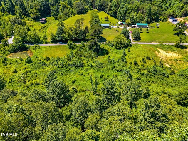 443 Butcher Valley Rd, Rogersville, TN 37857 - photo 4