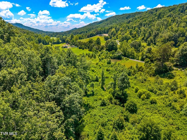 443 Butcher Valley Rd, Rogersville, TN 37857 - photo 5