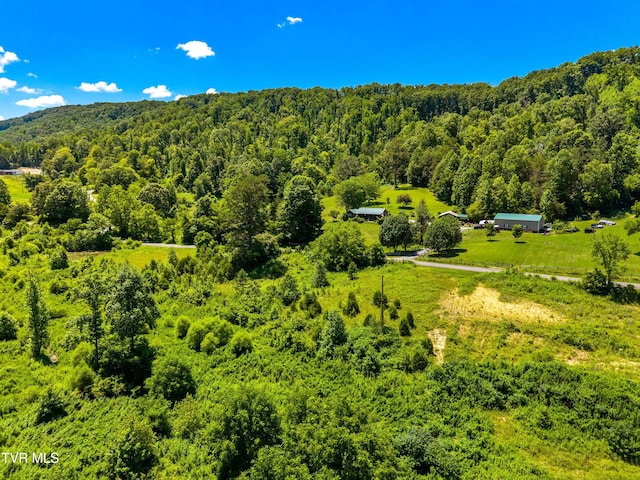 443 Butcher Valley Rd, Rogersville, TN 37857 - photo 6