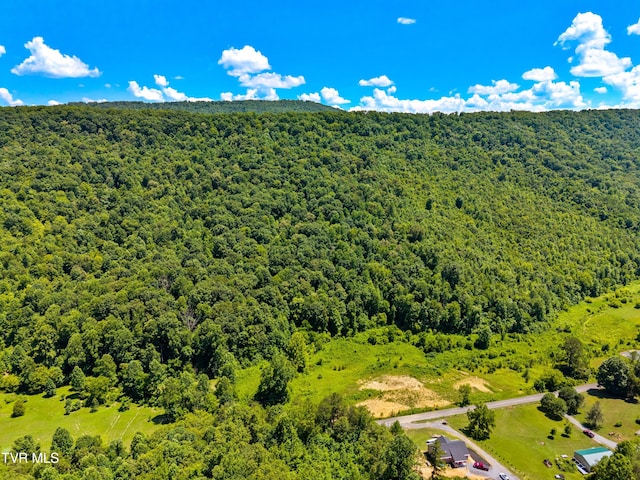443 Butcher Valley Rd, Rogersville, TN 37857 - photo 8