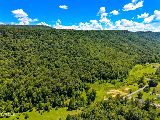 443 Butcher Valley Rd, Rogersville, TN 37857 - photo 9