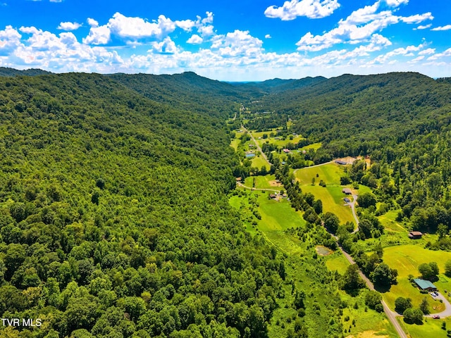 443 Butcher Valley Rd, Rogersville, TN 37857 - photo 12