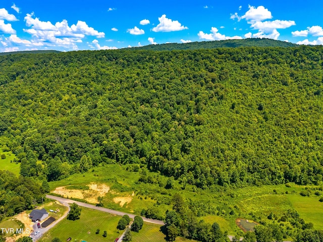 443 Butcher Valley Rd, Rogersville, TN 37857 - photo 13