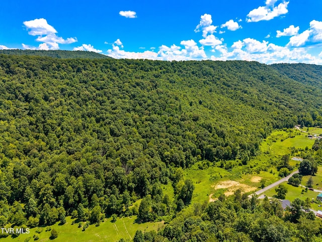 443 Butcher Valley Rd, Rogersville, TN 37857 - photo 15