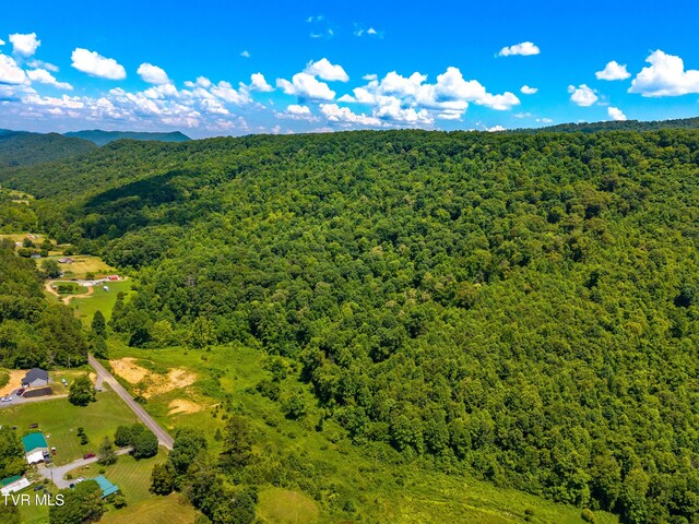 443 Butcher Valley Rd, Rogersville, TN 37857 - photo 16