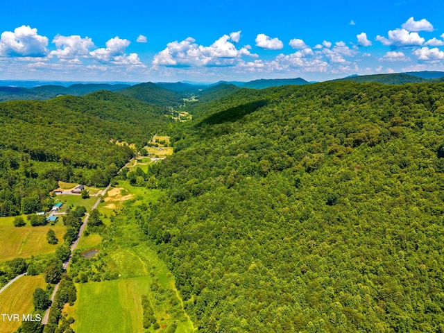 443 Butcher Valley Rd, Rogersville, TN 37857 - photo 17